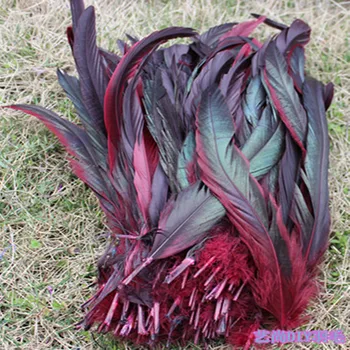 Comercio al por mayor 100 unids/lote Hermosas plumas de Gallo přírodní 30-35 cm 12-14 Pulgadas Víno červené